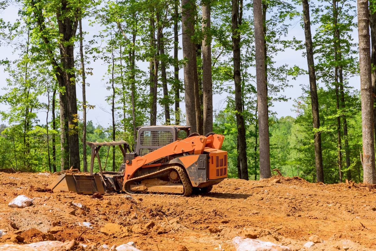 Land Clearing